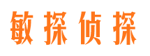 新河市侦探调查公司